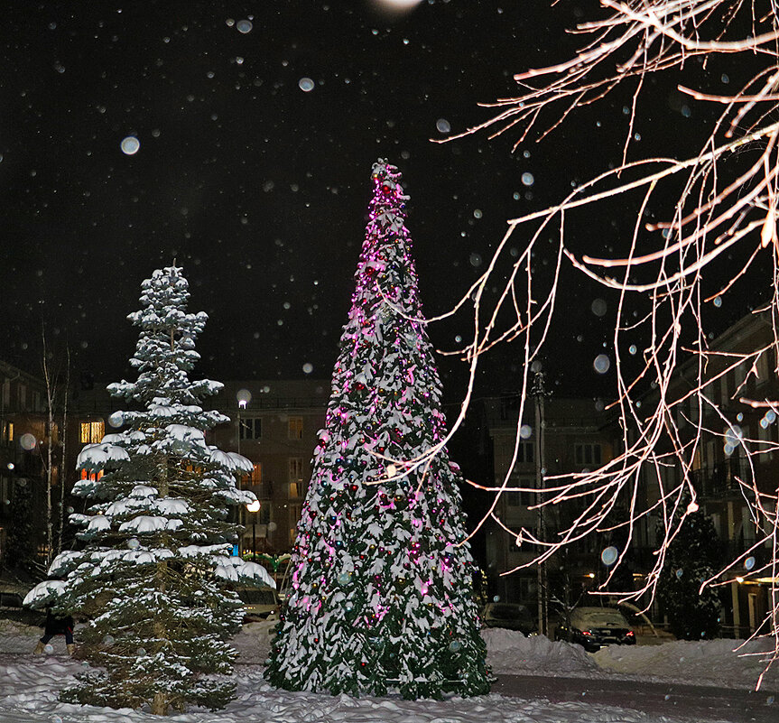 В Новогоднюю ночь - Светлана В Новогоднюю ночь - Светлана