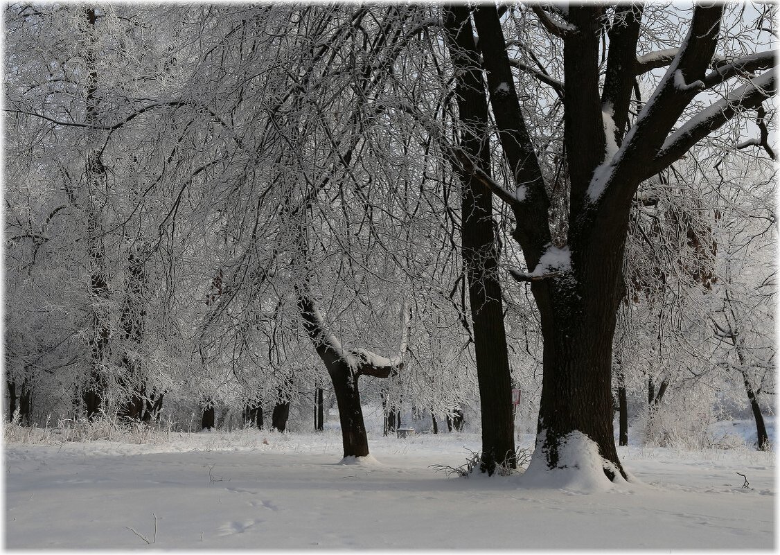 В парке - ZNatasha -