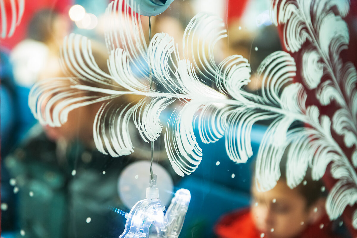 Окно поезда Деда Мороза - Александр 