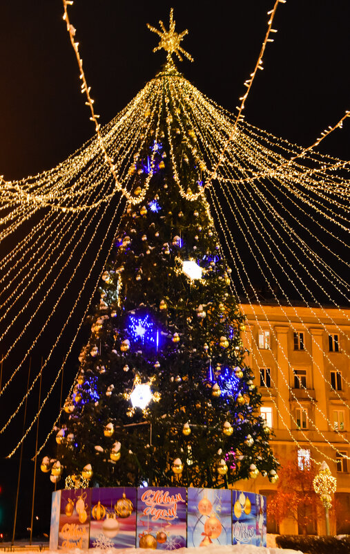 Новогодняя - Владимир Звягин Новогодняя - Владимир Звягин