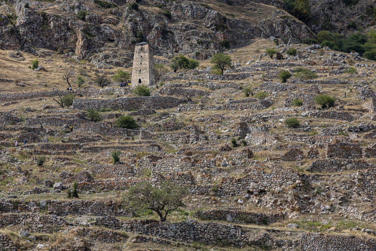 Башня Абаевых - валерий 