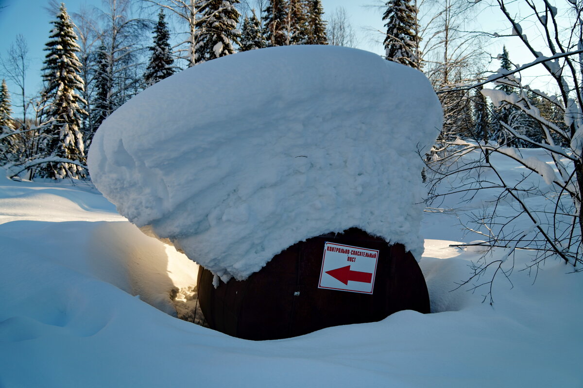 Спасите! - Павел Трунцев