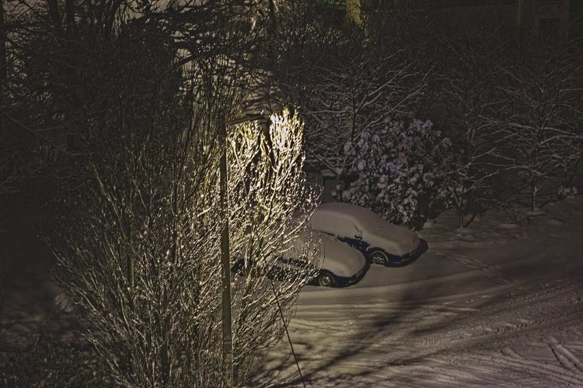 Машинки в снегу - Giant Tao /