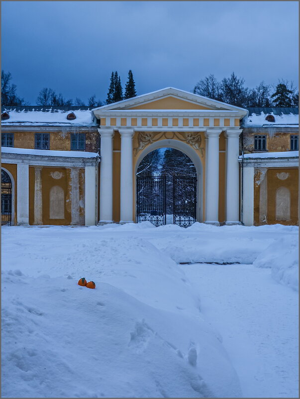 Мандарины на снегу - Наталья Rosenwasser