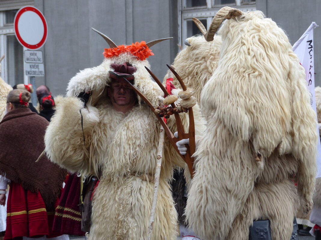 Бушары (люди, одетые в традиционные маски) - Mária Szentgyörgyi