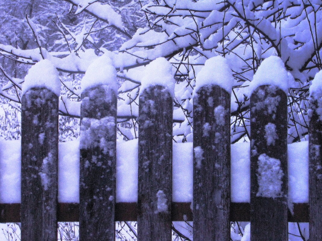 В шапочках - Людмила Смородинская В шапочках - Людмила Смородинская