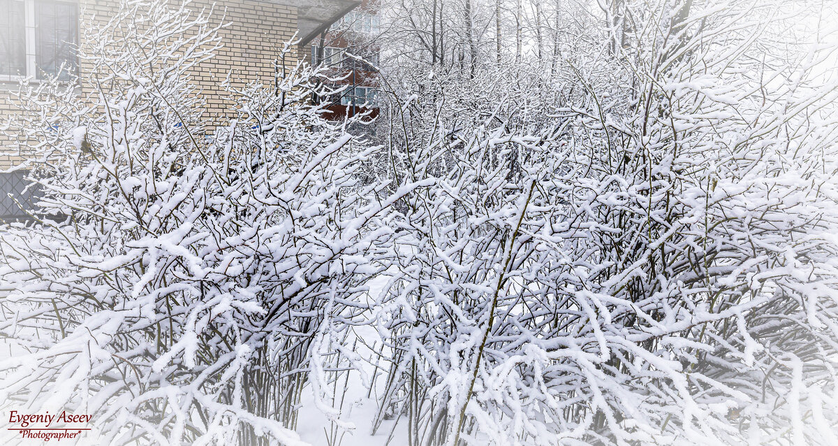 *** - Евгений 