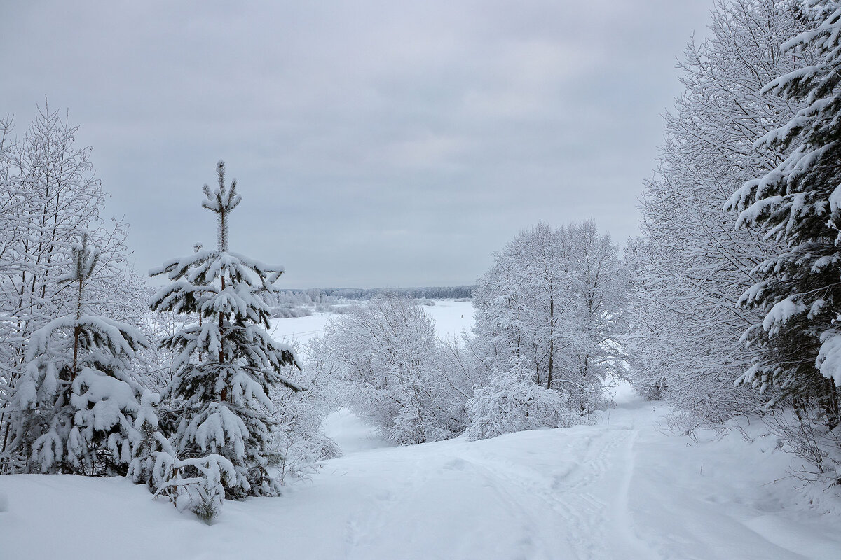 На берегу старицы. - Андрей Дурапов