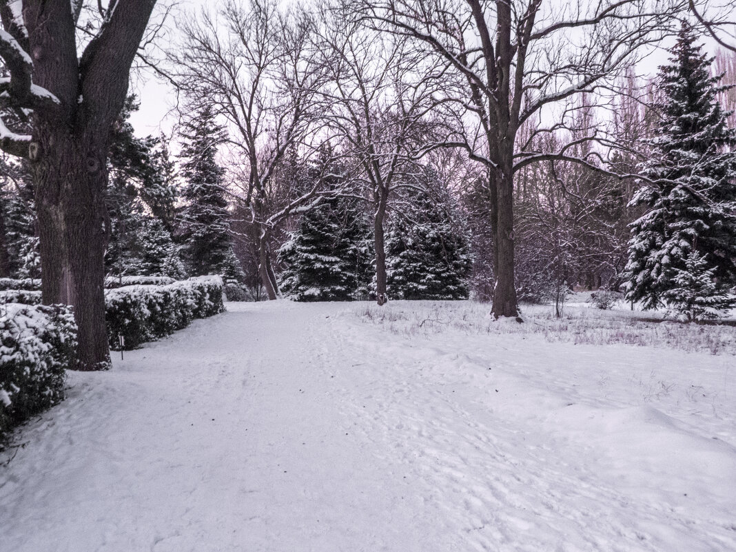 Зимний пейзаж - Валентин Семчишин