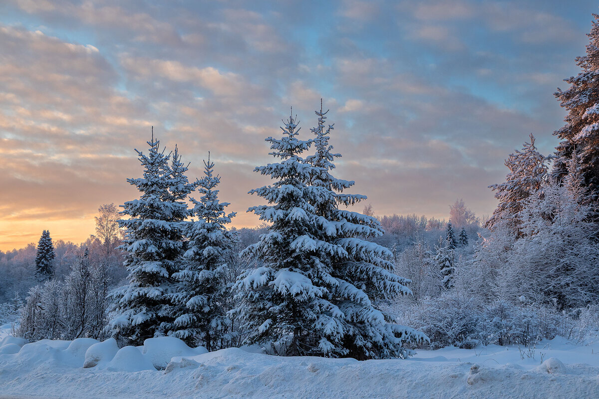 Красота у дороги. - Андрей Дурапов Красота у дороги. - Андрей Дурапов