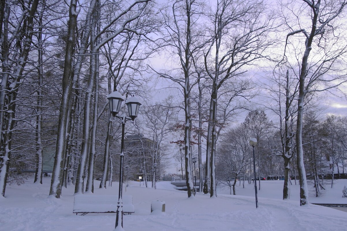 Калининград, 31 декабря - Рита Симонова Калининград, 31 декабря - Рита Симонова