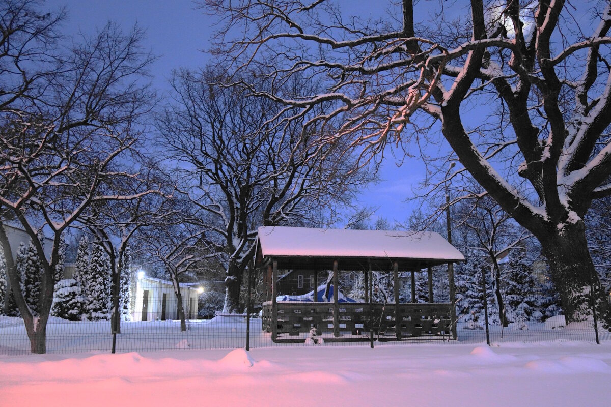 Калининград, 31 декабря - Рита Симонова