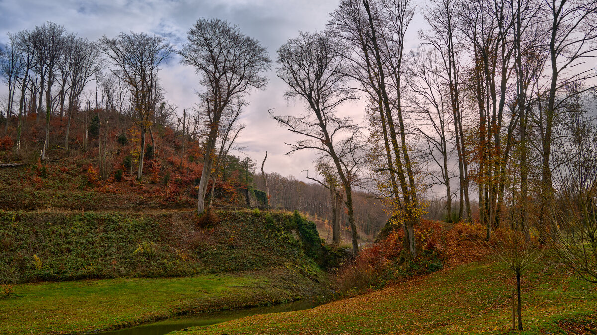 Прошлый ноябрь... - Dmitriy Dikikh Прошлый ноябрь... - Dmitriy Dikikh