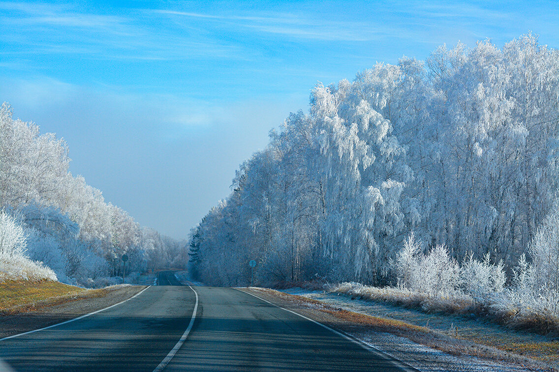 Зима осела на деревья. - юрий Амосов Зима осела на деревья. - юрий Амосов