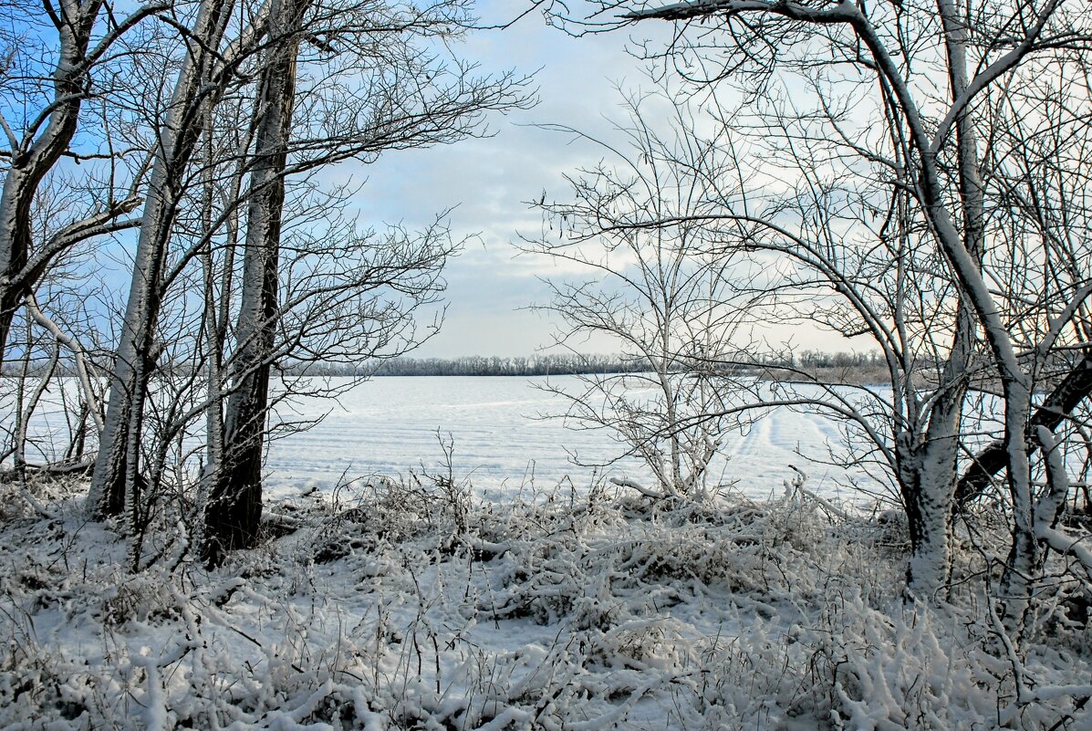 Январь. - Владимир 