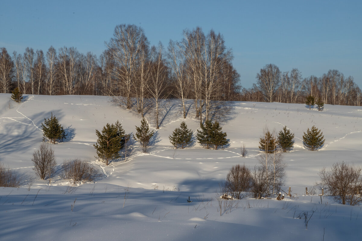 следы - Виктор Ковчин