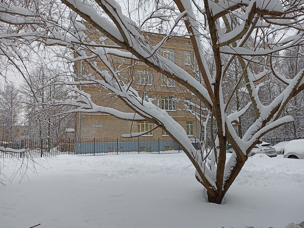 Волшебная графика зимы. - Лилия *