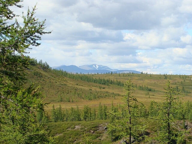 ЯМАЛ. Восточный склон полярного Урала. - Tata Wolf