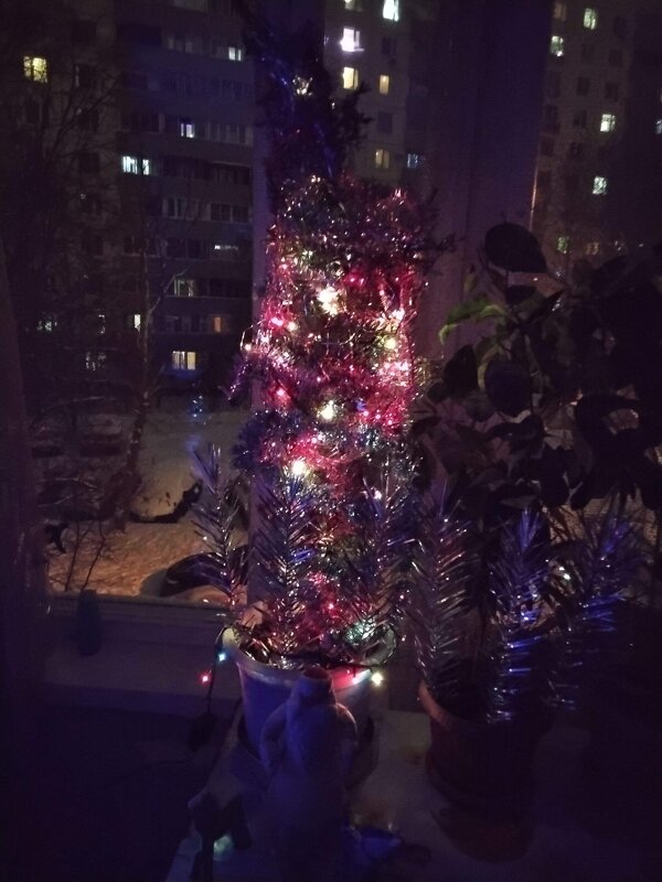 Свет ёлки новогодней - Дмитрий Никитин