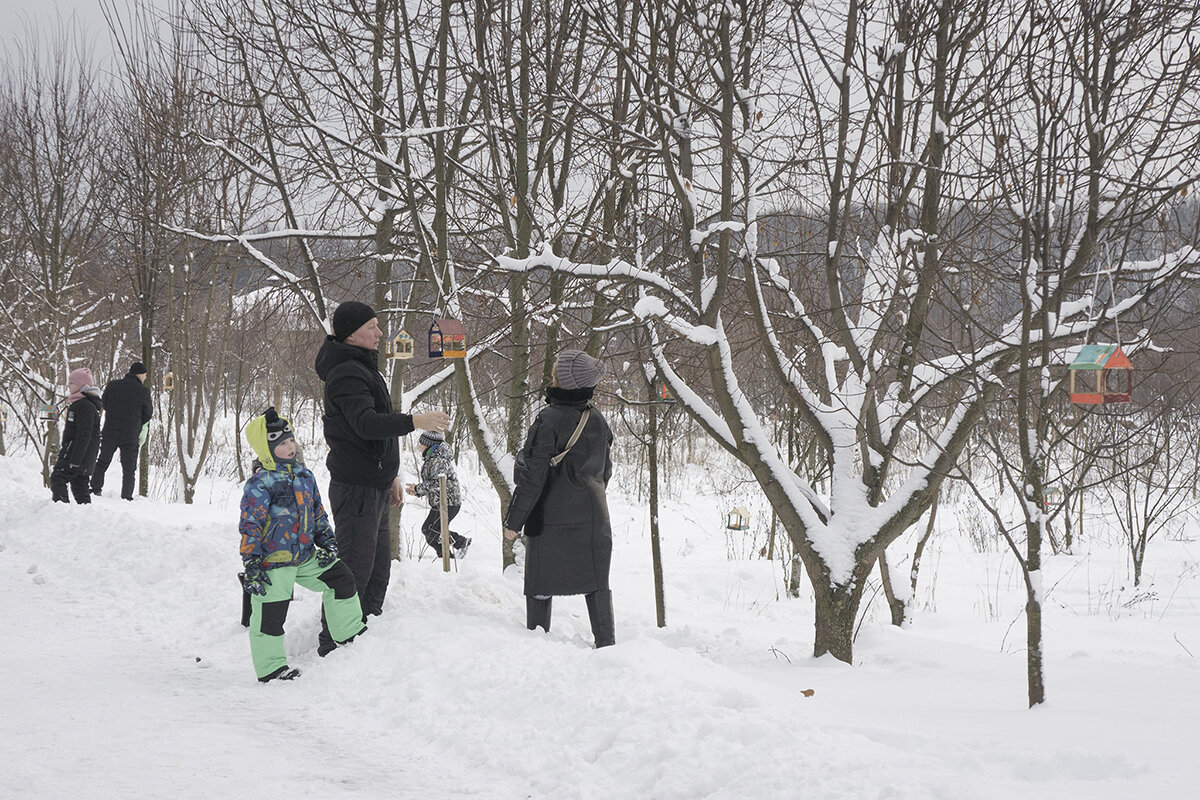 "Простые картинки" - Владимир Носов