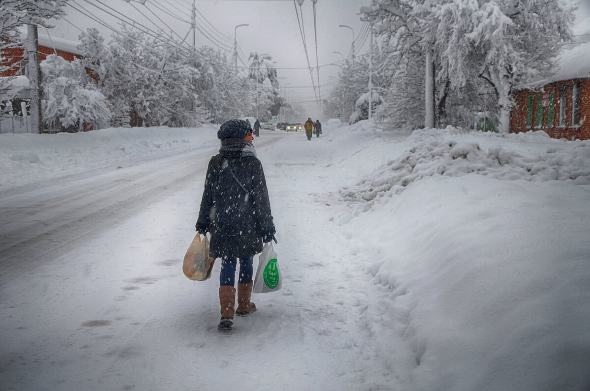 Зима - Давид Манакьян