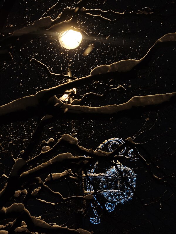 ... 2026 - Андрей 