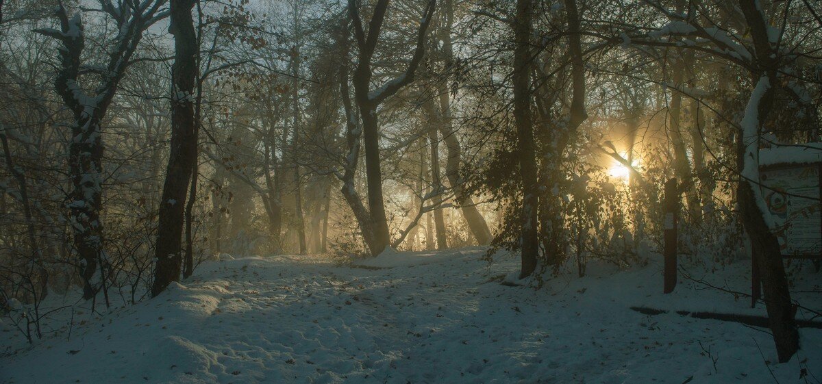 Вечер в парке.......... - Юрий Цыплятников Вечер в парке.......... - Юрий Цыплятников