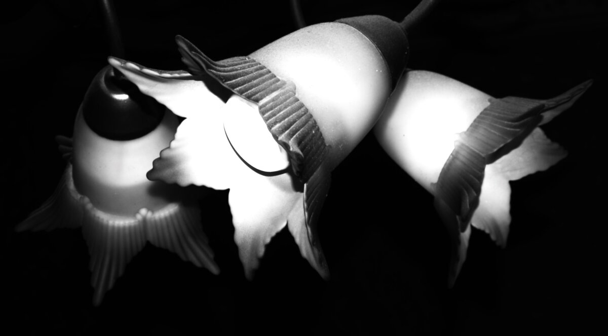 * - Василий Палий