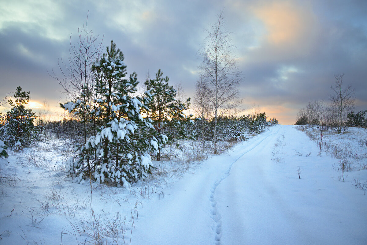 Там на заснеженных дорожках, следы... - Валерий VRN