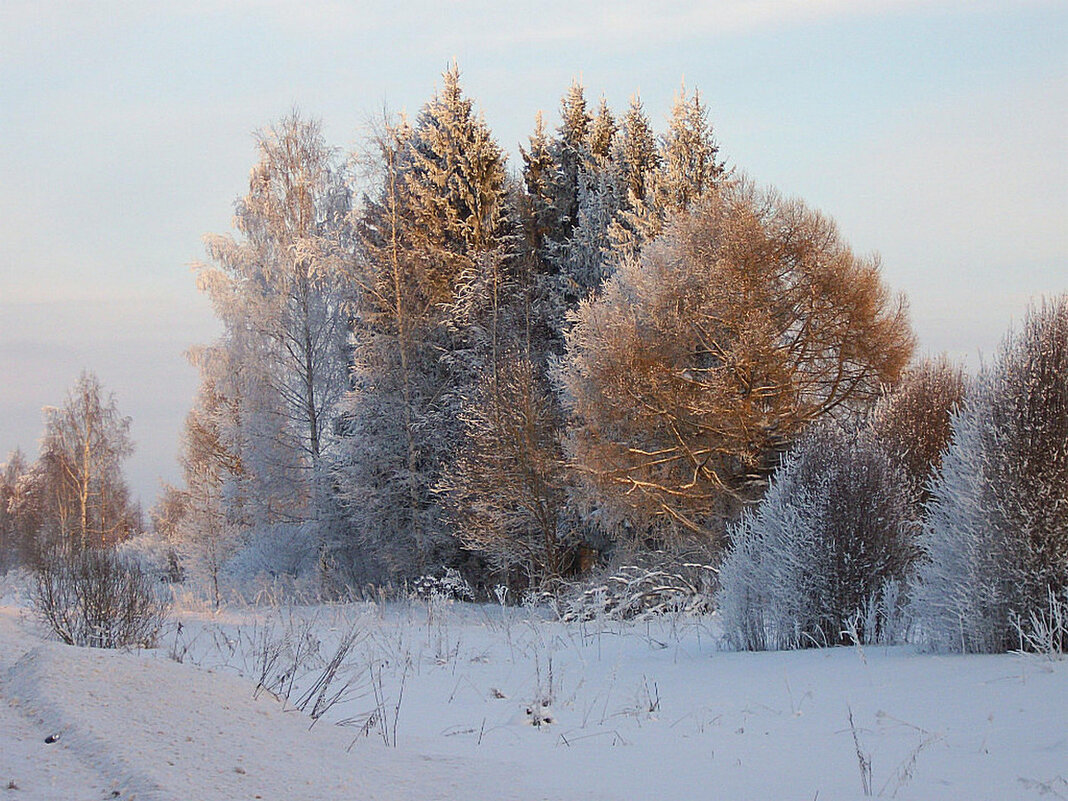 Морозный солнечный день - Наталья Куликова
