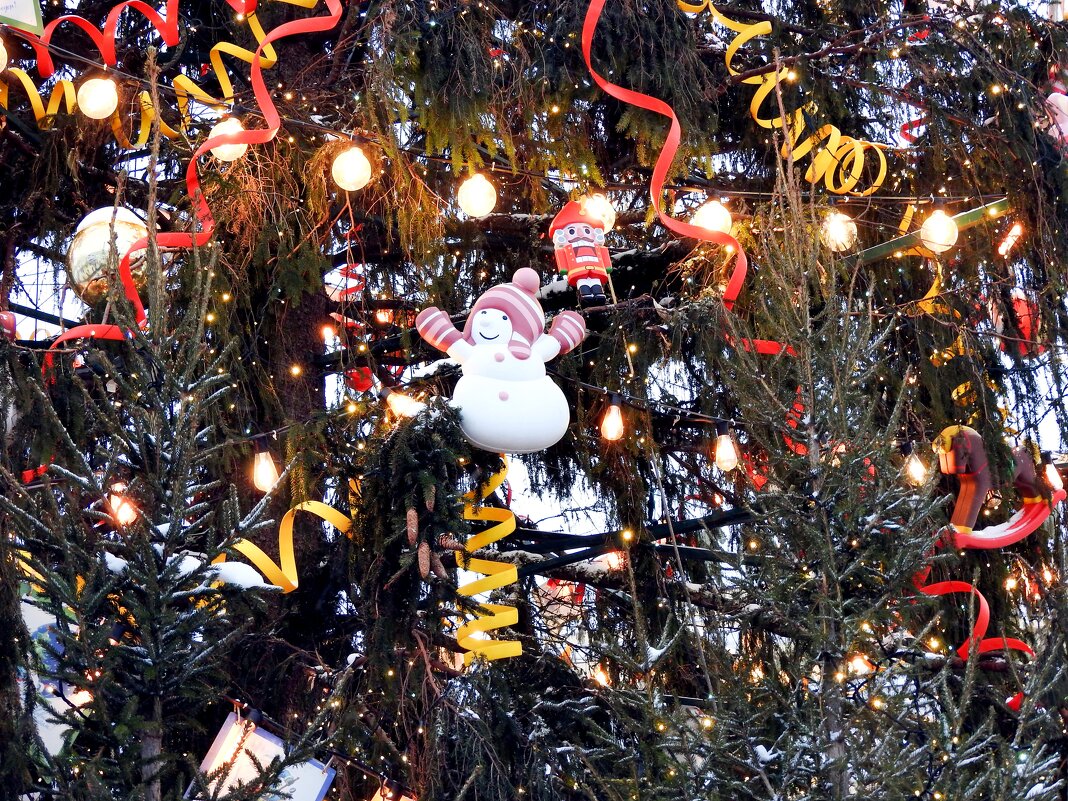 *** - Евгений Васильев