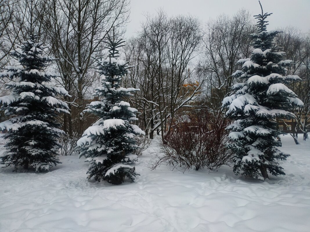 Зима в Москве - Андрей Лукьянов