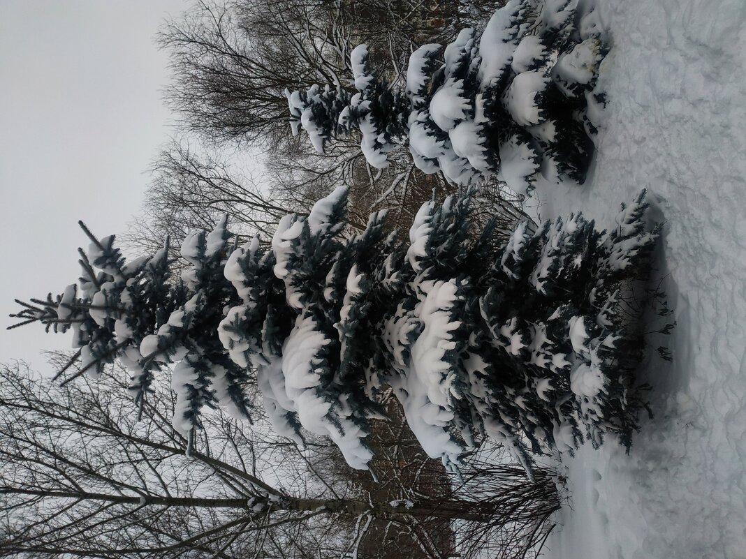 Зима в Москве - Андрей Лукьянов