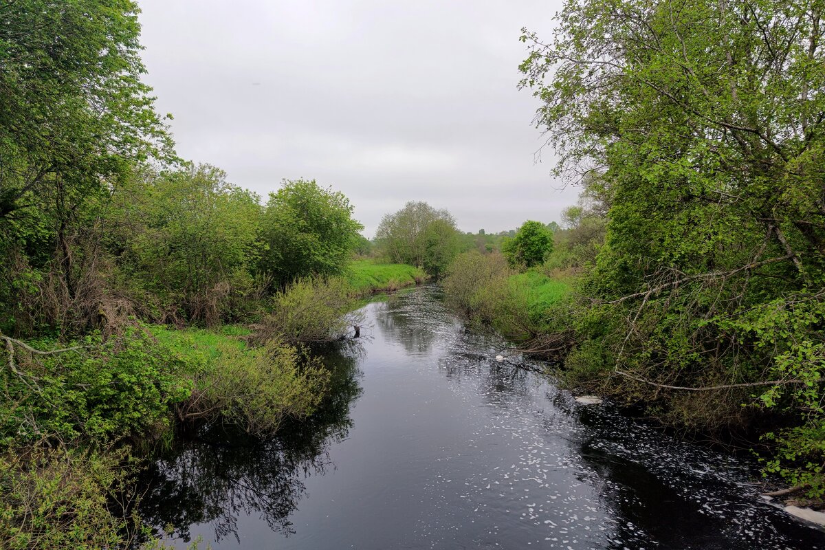 река Полонка в д.Белошкино - Артем 