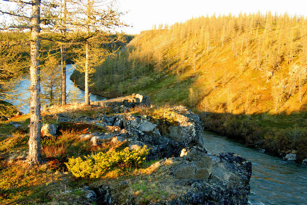 Восточный склон полярного Урала. Ямал. - Tata Wolf