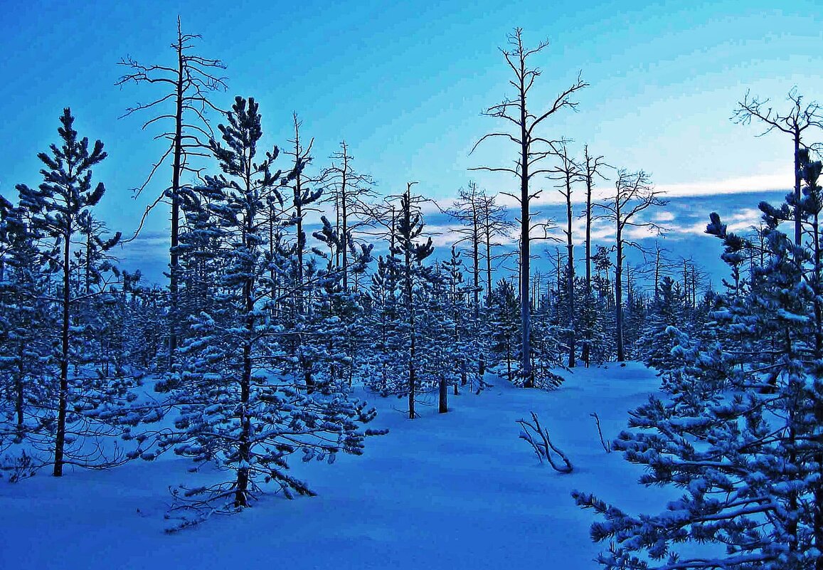 Декабрь...Во владениях Торума! - Владимир 