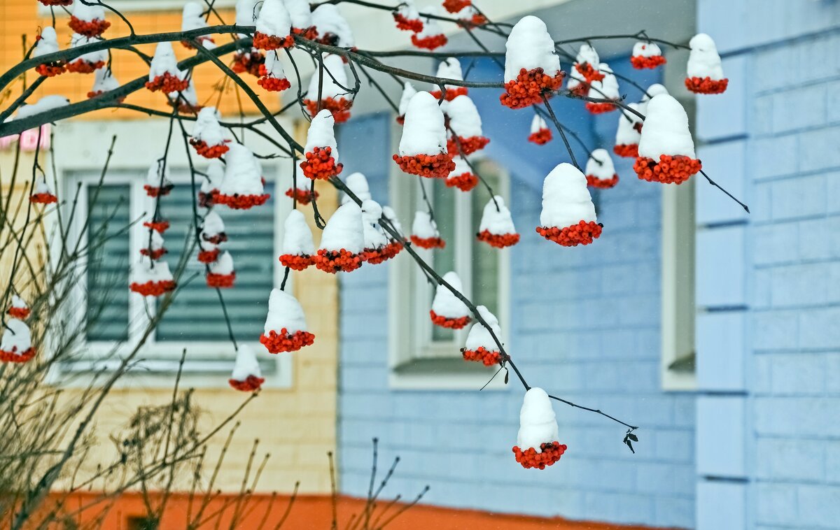 В шапочках - Валерий Иванович