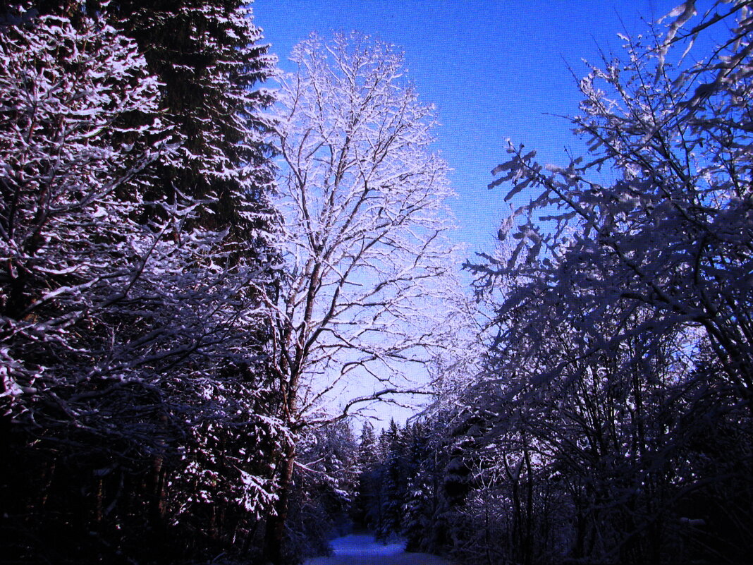 Красота - Людмила Смородинская