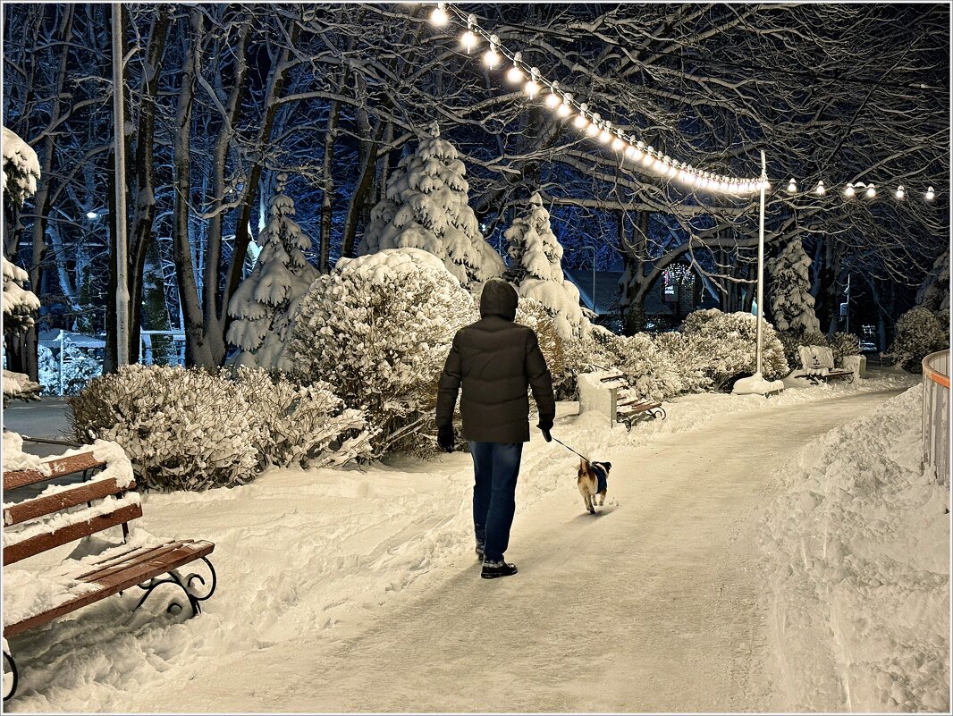 Яшик на последней  прогулке 25 года. - Валерия Комова