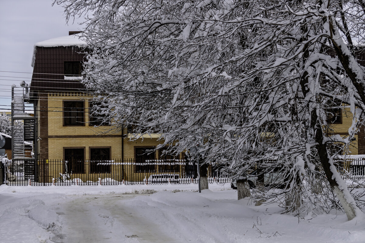 Редко у нас бывают такие зимы - Игорь Сикорский