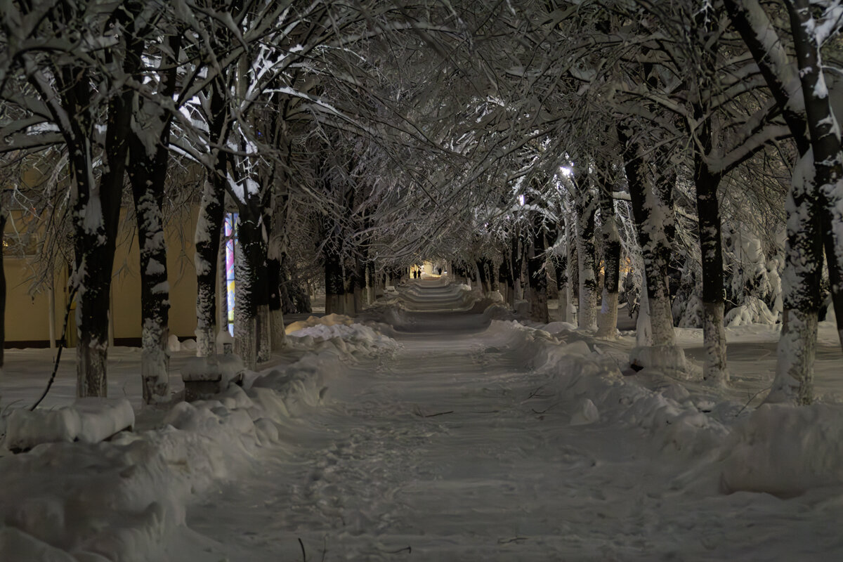 Редко у нас бывают такие зимы - Игорь Сикорский