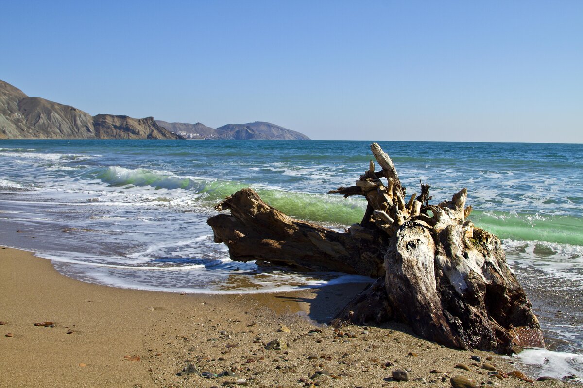 Морское чудовище - Геннадий Валеев