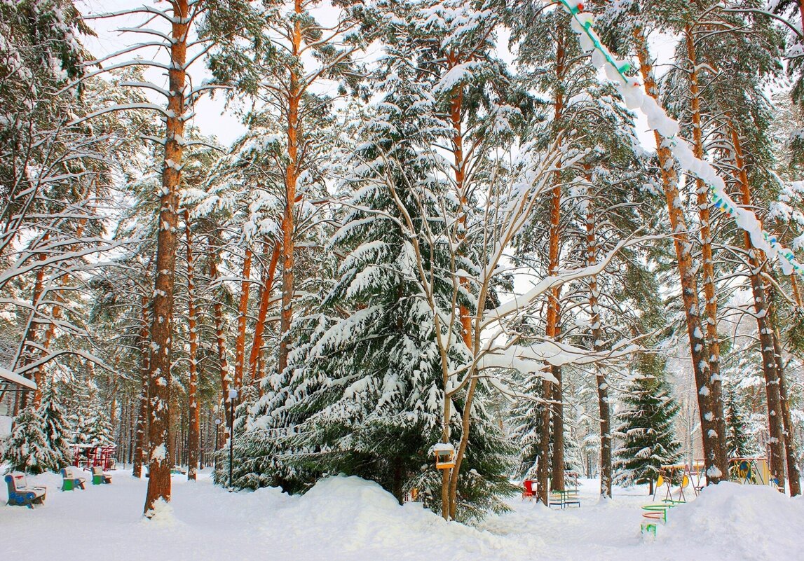 В городском парке - Галина Нестратова