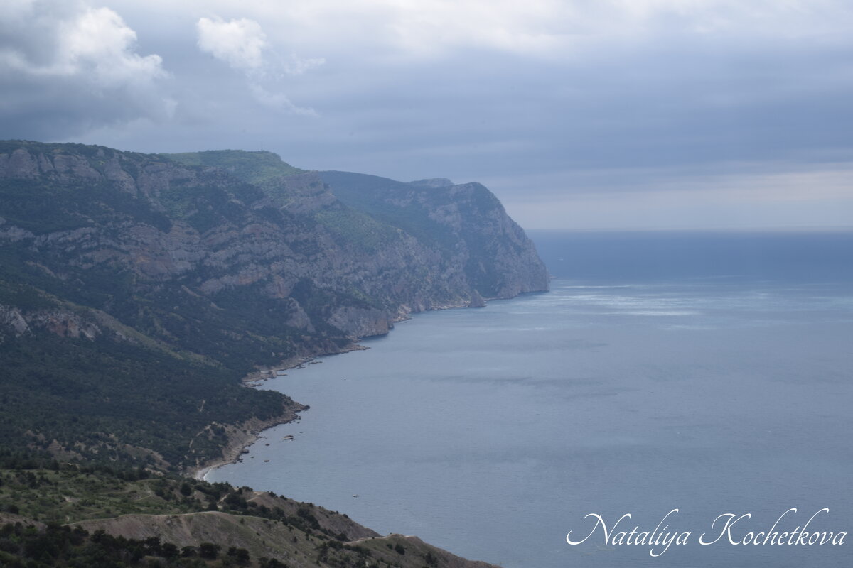 Природа Крыма - Amazing Cosmea