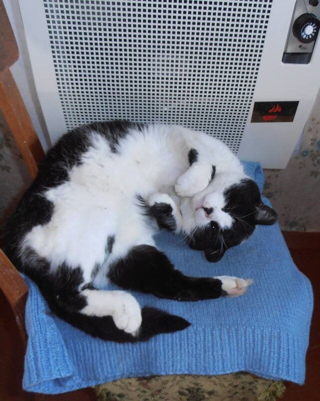 Тёплое местечко - Наталья 