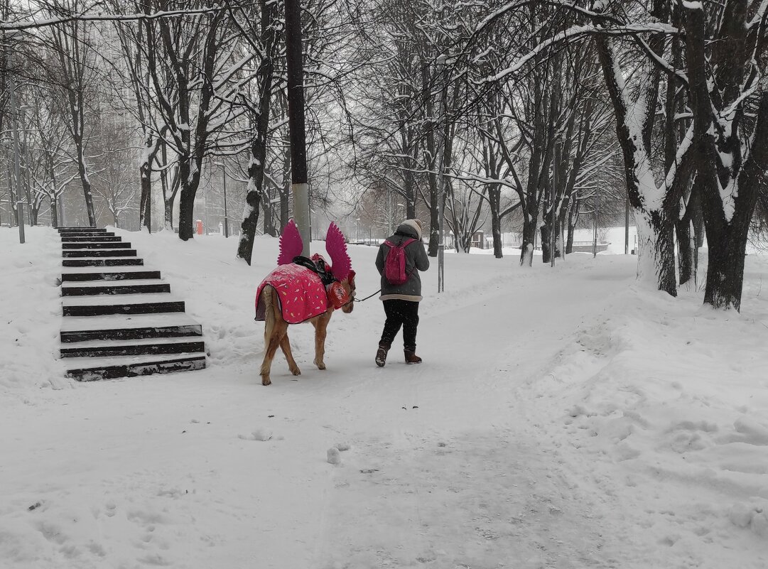 Грустный пегасик - Игорь Ч.