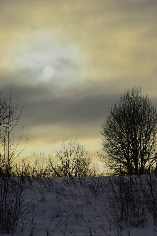 Солнечное затмение - Мария Яковлева