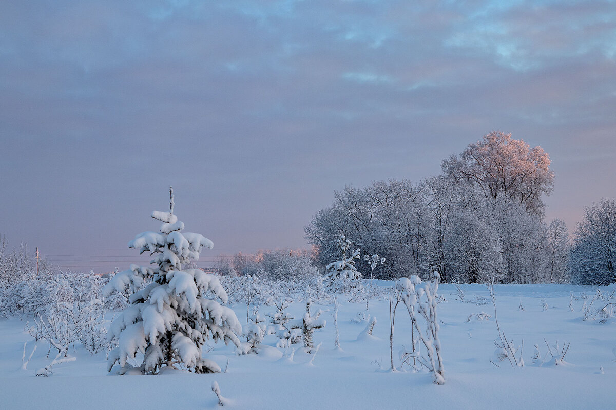 *** - Андрей Дурапов
