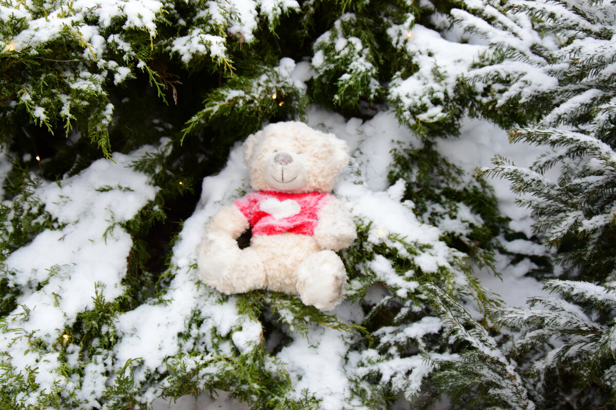 Плюшевый. - Наталья Вязигина