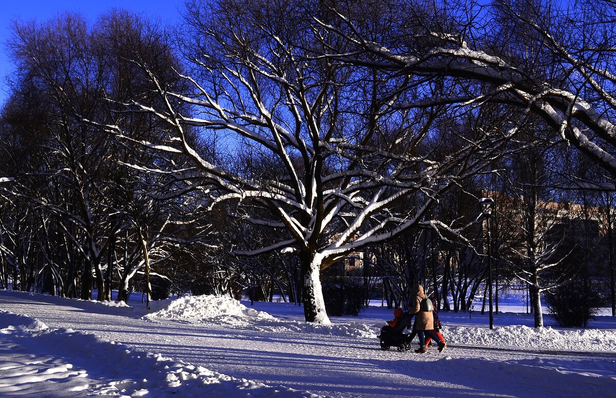 Снежное начало года. - Василий Палий